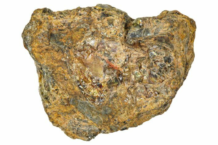 Pallasite Meteorite ( g) - NWA #367765